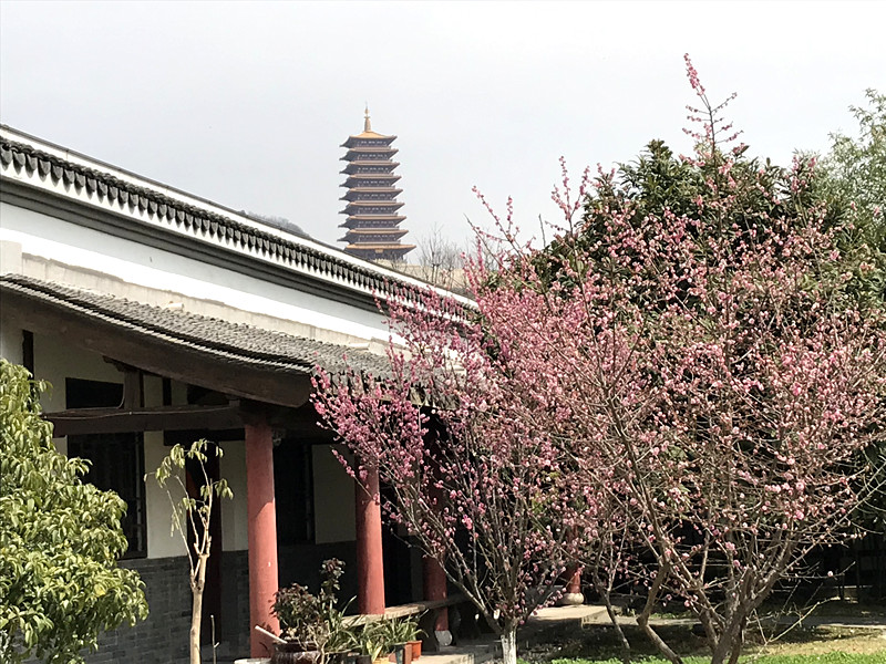 春至牛首，世凹春妆，画中徜徉，处处诗章-游南京江宁世凹桃源