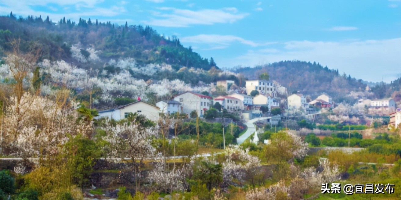 2021宜昌春季休闲农业精品线路公布！