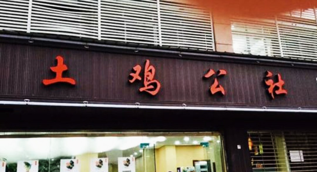 养殖土鸡模式,土鸡养殖技术及销售方法