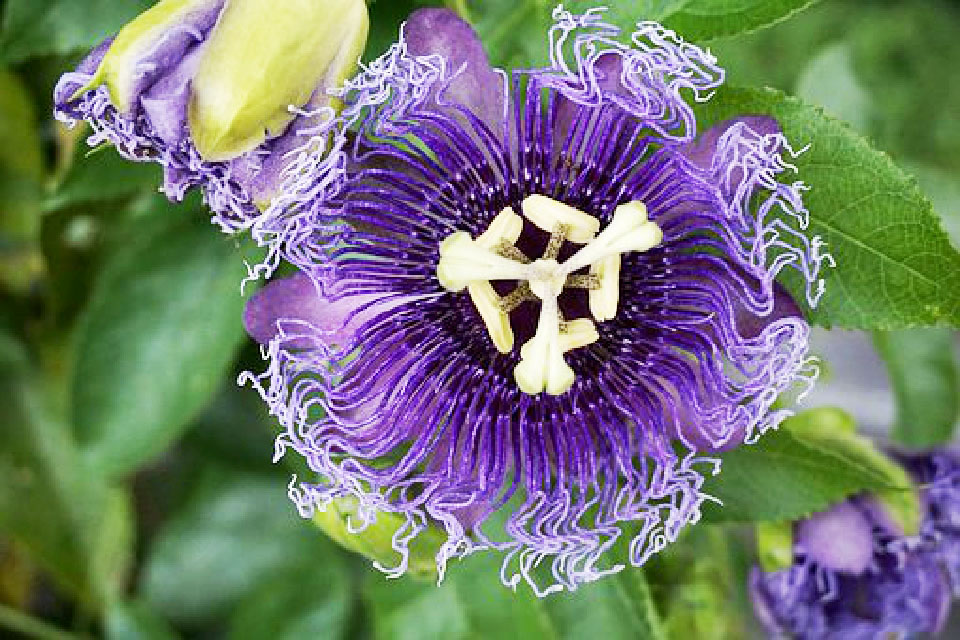 比较饱含深意的个性签名,好的个性签名简短又有意义