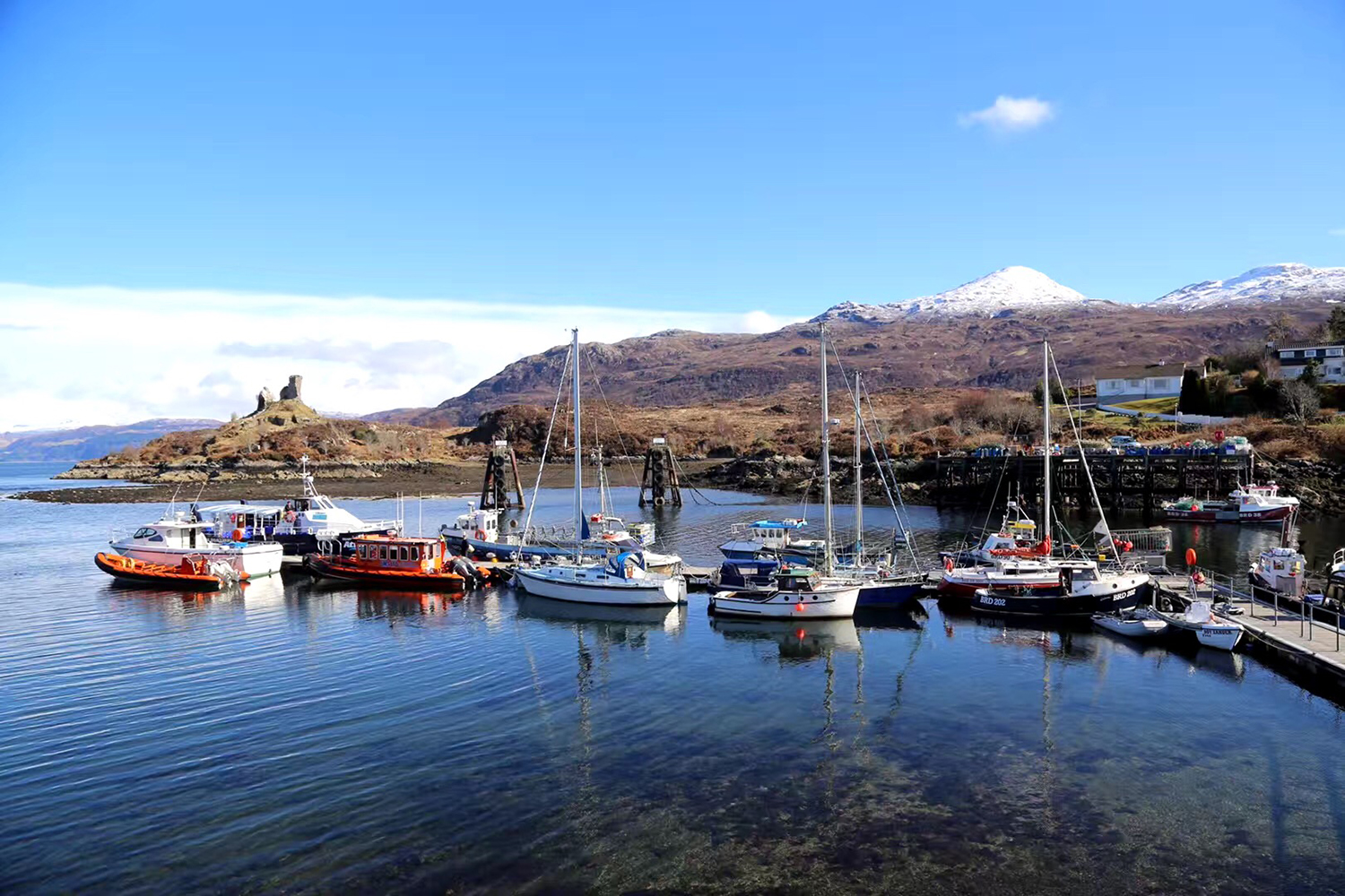 英国留学生被遣返回国怎么办,为什么英国留学生会被遣返