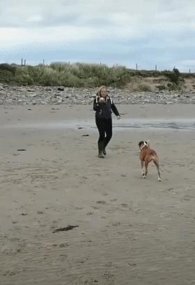 老鼠没抓着,却粘到了宠物狗!拔丝狗头了解一下?