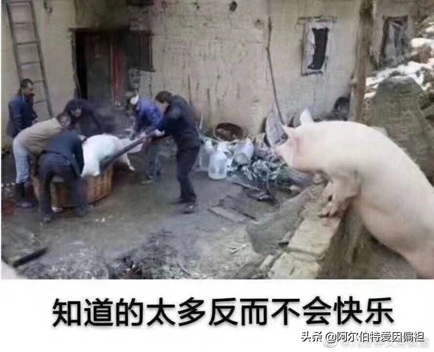 关于女生玩游戏的搞笑段子,游戏搞笑段子哪里找的