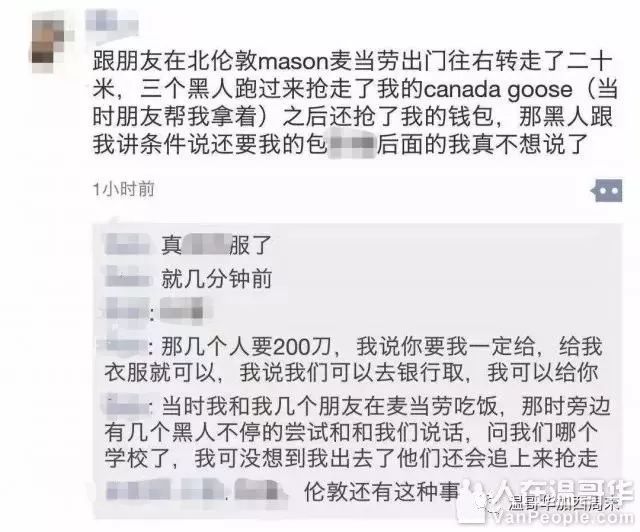 加拿大鹅街头被抢,加拿大鹅10天被抢七次