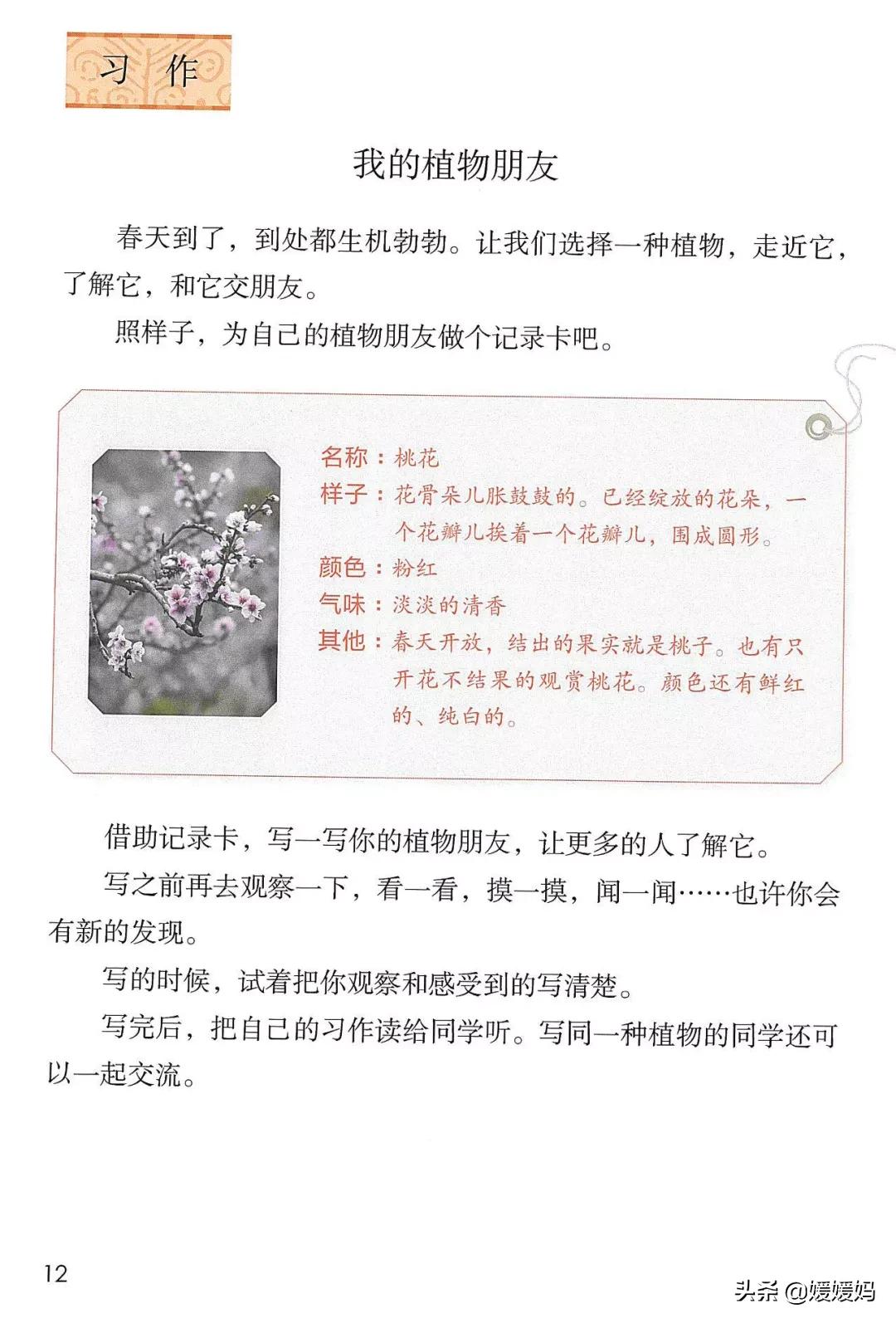 人教版三年级下册语文课本知识点,三年级语文下册课本66页续编故事