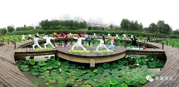 是什么让越来越多的年轻人爱上津南，留在津南！