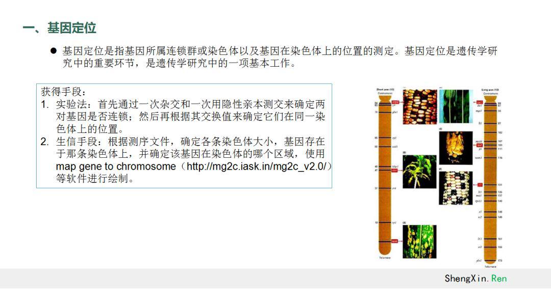 基因方面发10分sci什么水平,如何进行基因进化分析