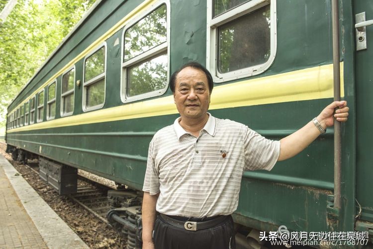 济南的法国梧桐,济南梧桐树美景