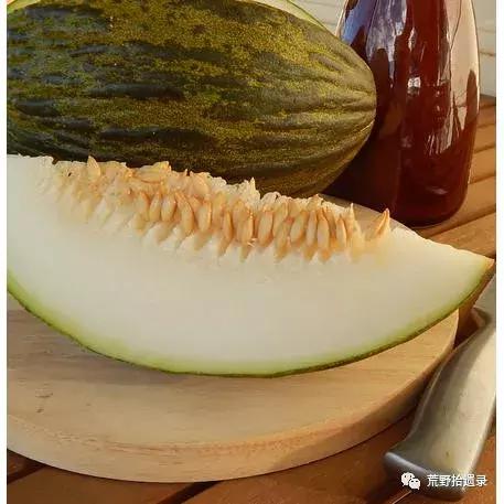 四川适合种植哈密瓜甜瓜品种,甜瓜种植技术新疆哈密瓜