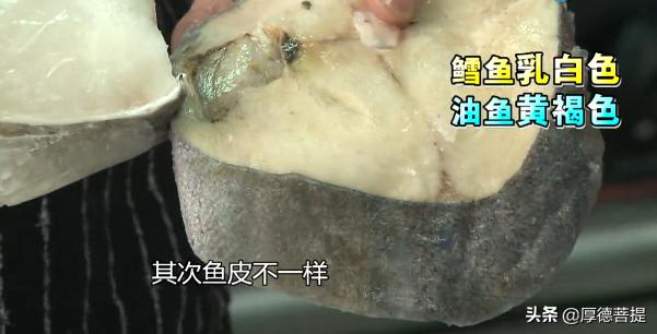 我们买到的鳕鱼是什么鳕鱼,我们买的鳕鱼为什么没头