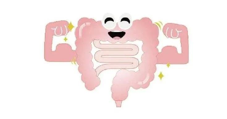 肠的秘密解读大全,肠瘘你了解多少