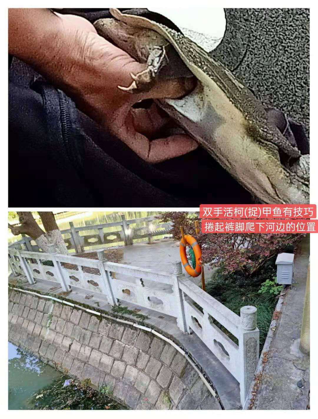 紫金港绿道钓鱼,紫金港河钓鱼