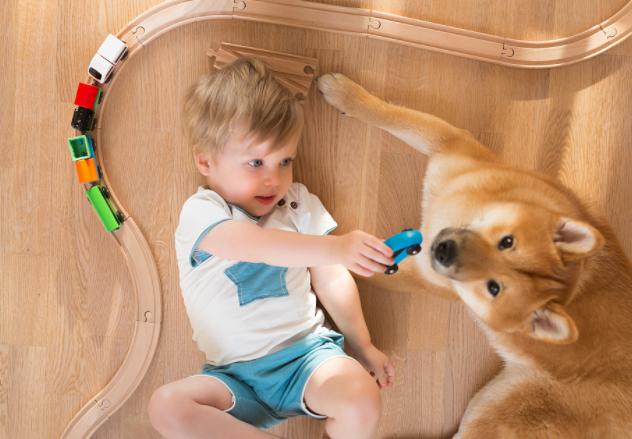 2到6岁小孩科学育儿,可怕的两岁怎么教育