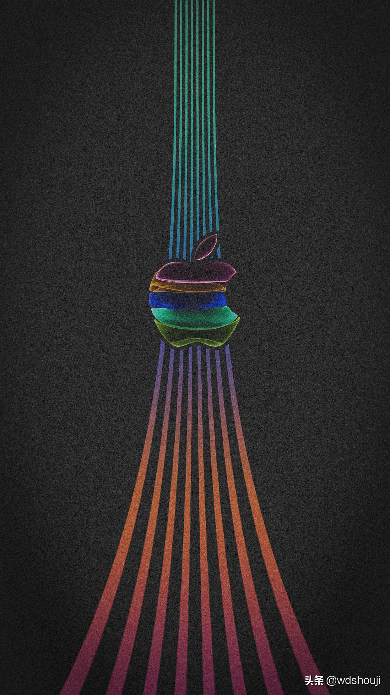 苹果iphone11高清壁纸,iphone11未来可期壁纸