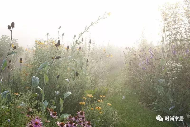 超爱旅行,就是抓狂理箱子?急救教程来了