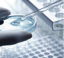 菲塑是一个怎样的品牌,菲塑官网