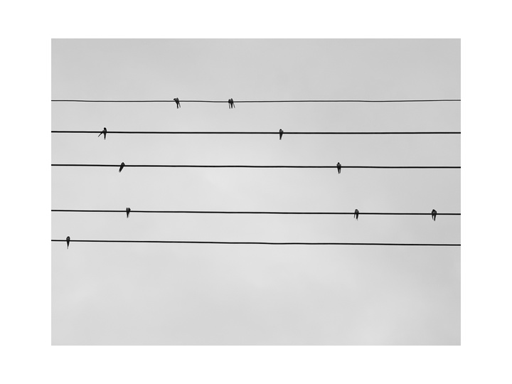 2017米拍十佳摄影师,2023米拍摄影奖名单