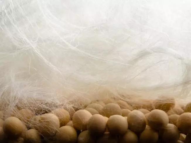 夏天盖这床抑菌又清凉软糯的大豆空调被，边睡边美容，舒服