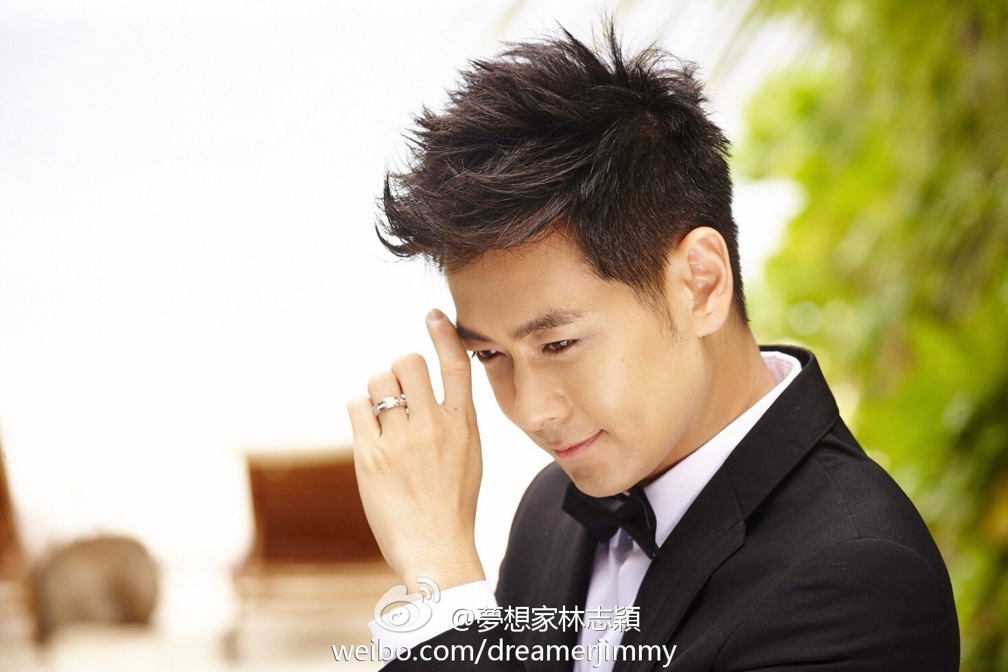 陈若仪为什么嫁林志颖,陈若仪多少岁嫁给林志颖