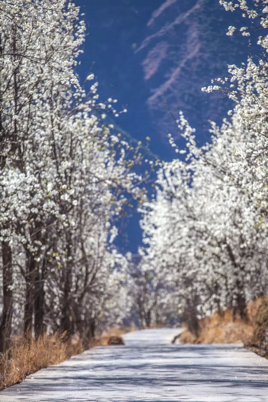 有生之年一定要去四川吗,年轻时不能去四川吗