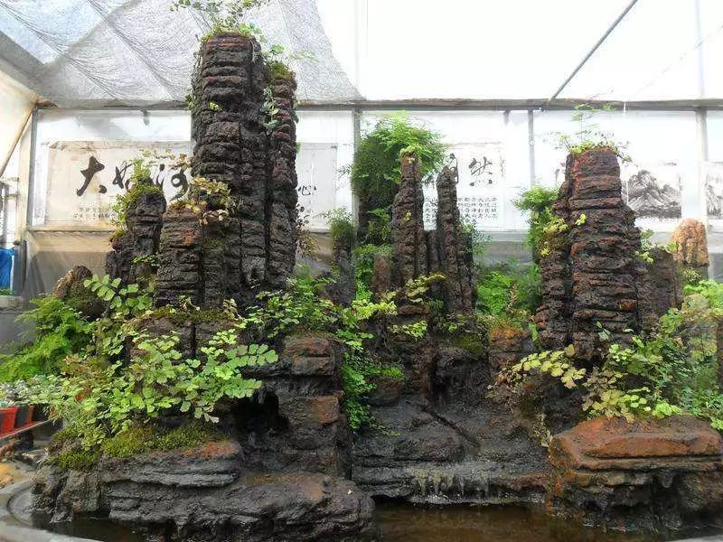 精品水旱树石盆景,什么是全旱式树石盆景