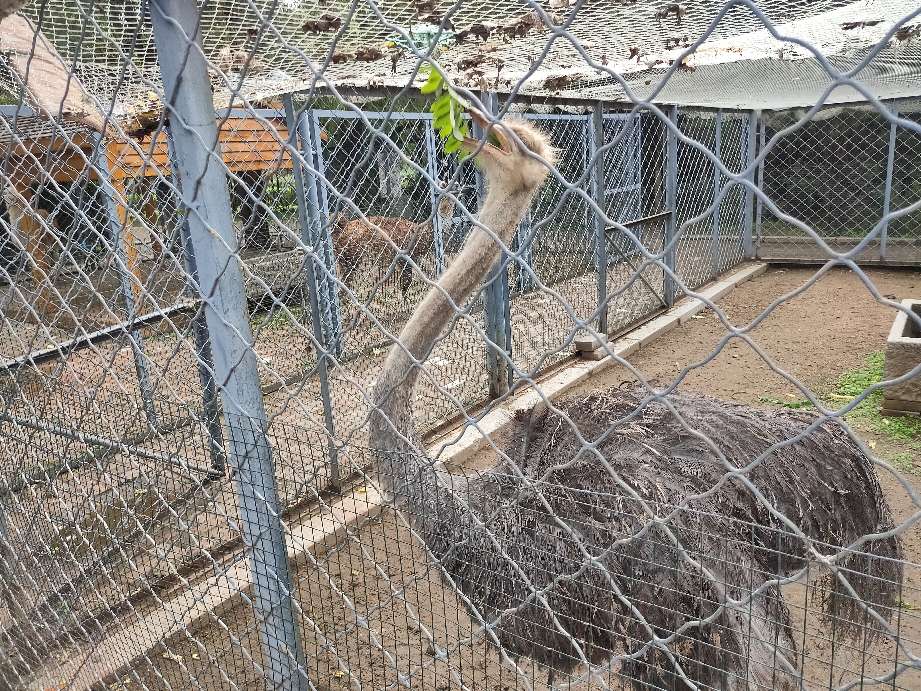 沈阳周边有山有水的免费景点,沈阳工业展览馆2021车展免费门票