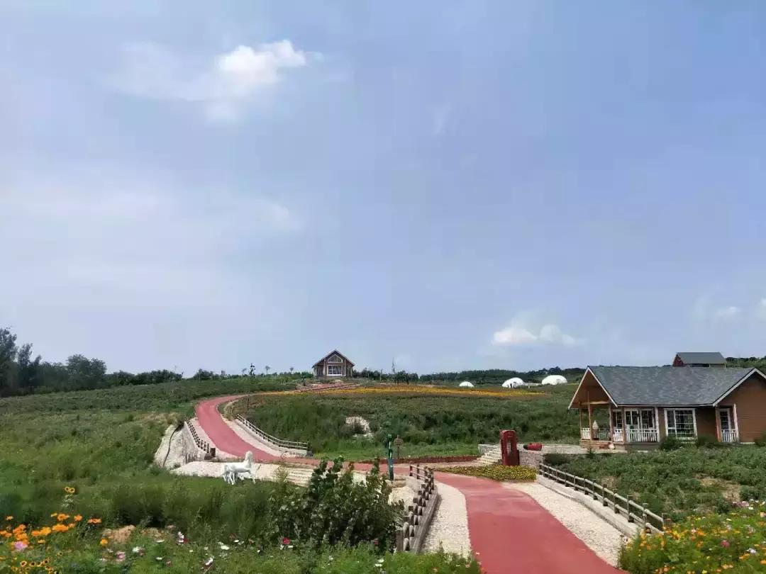 河北绝美自驾游,河北哪里的花海好看最美