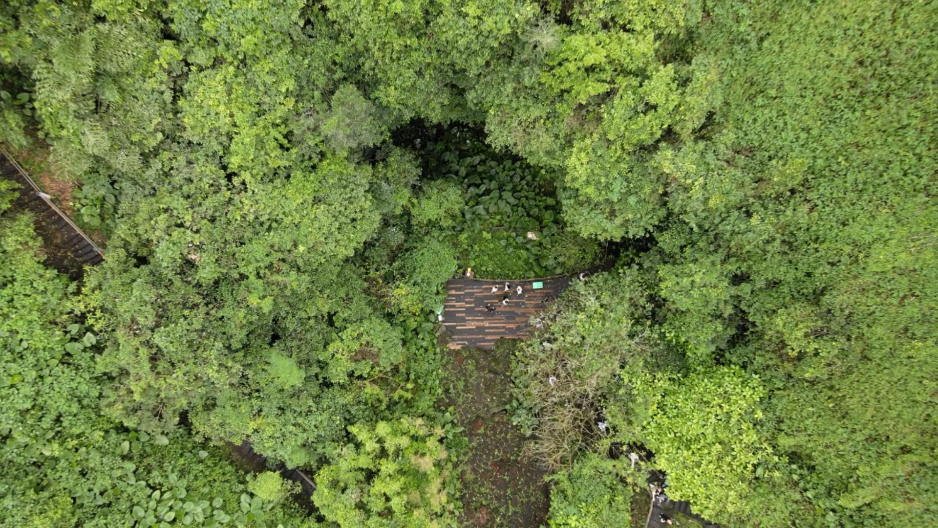逐梦自贸海动椰城,逐梦海口嗨动椰城