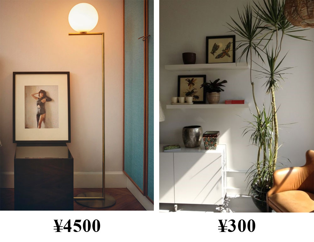 韩雪明星推荐好物,韩雪好物