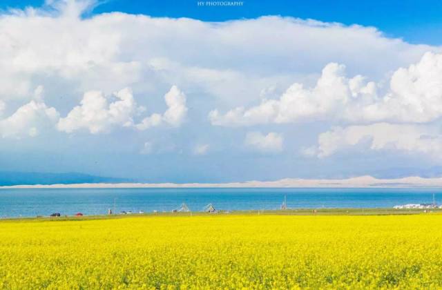 不负美景不负卿,不负美景不负卿经典语录