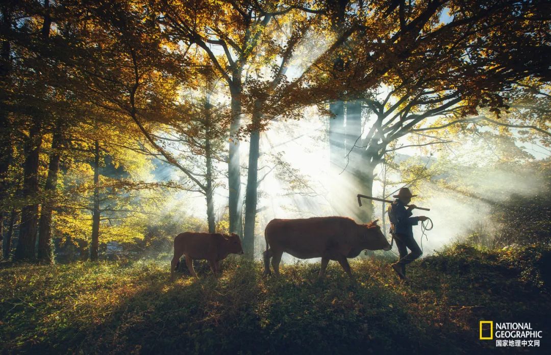 中国原生态最美山乡石台,夏游石台中国原生态最美山乡