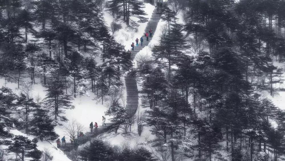 元旦去黄山旅游看雪景,元旦去云雾山跨年