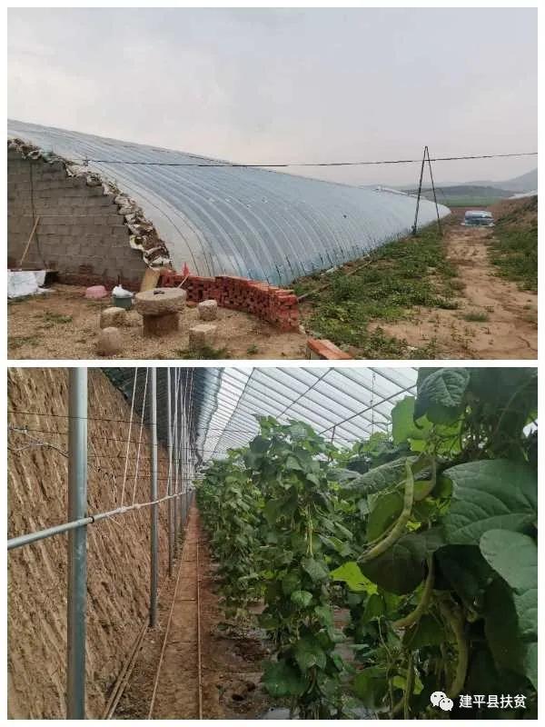 我和我的村--建平县税务局驻村第一书记奎兰