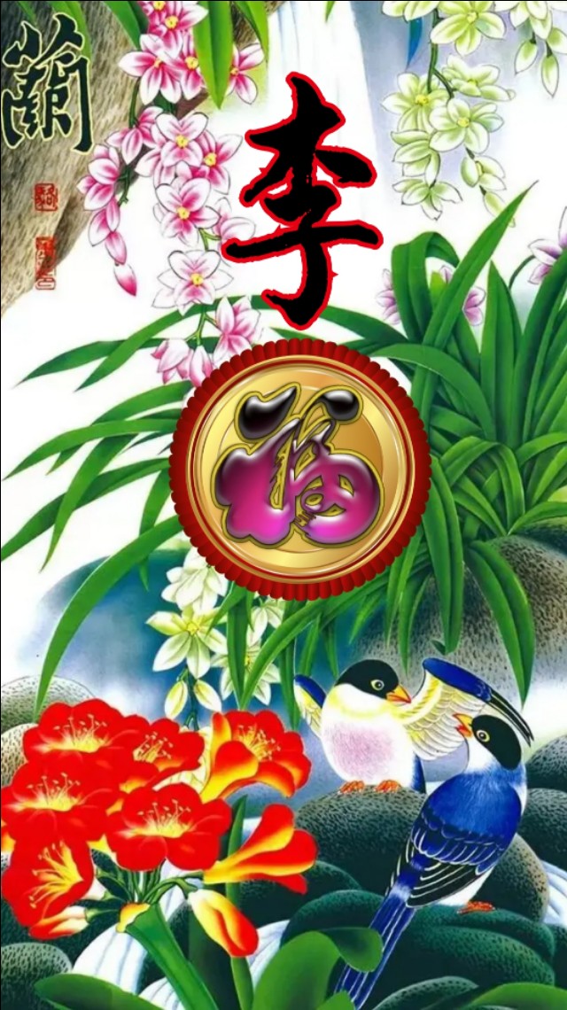 精美兰花壁纸图,兰花高贵壁纸