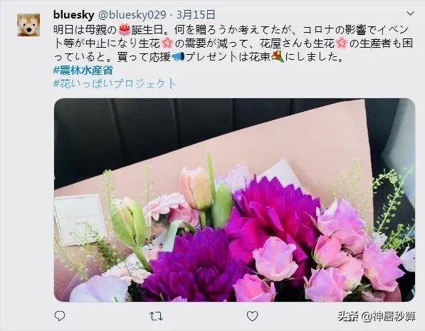 当官不为民做主,不如回家卖红薯,日本公务员疫情期间的带货之路