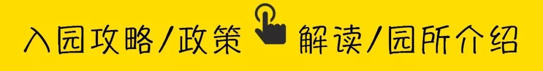 深圳福田公办幼儿园报名,深圳福田最好的幼儿园