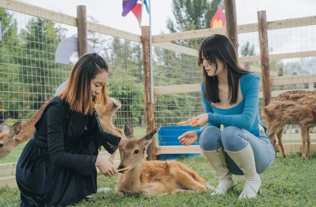 东南花都花博园全新升级鹿岛公园,东南花都花博园导览图