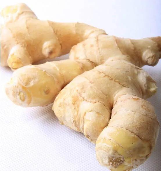 口腔溃疡不用药怎么缓解疼痛,口腔溃疡用了各种药都没用