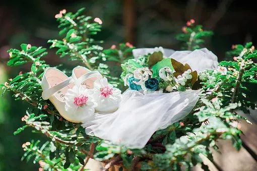 解析昼颜,昼颜解读