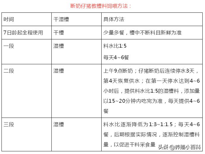 小猪断奶应激用什么药预防,小猪断奶最简单的方法