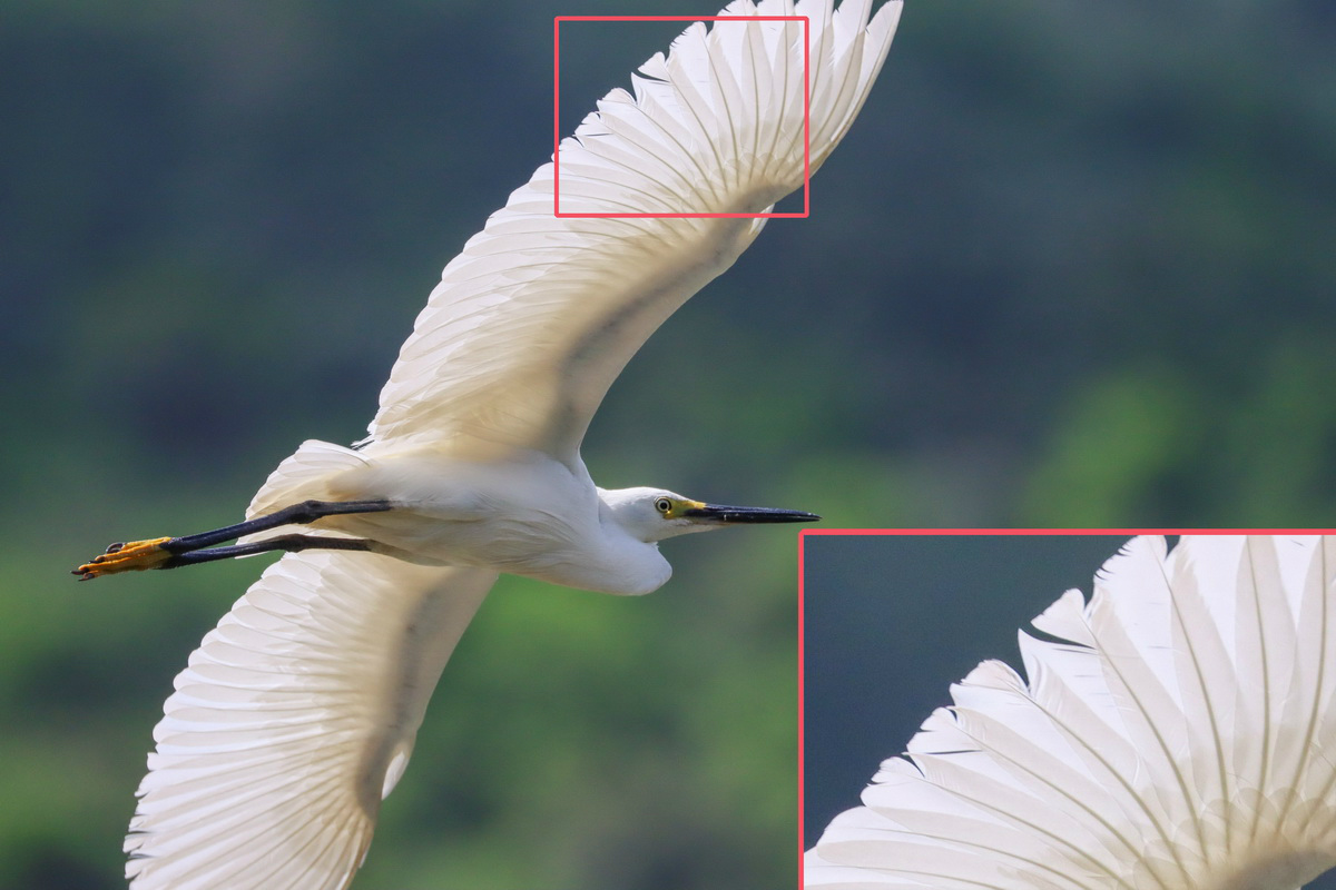 佳能eos90d适合拍产品么,佳能eos90d拍摄效果