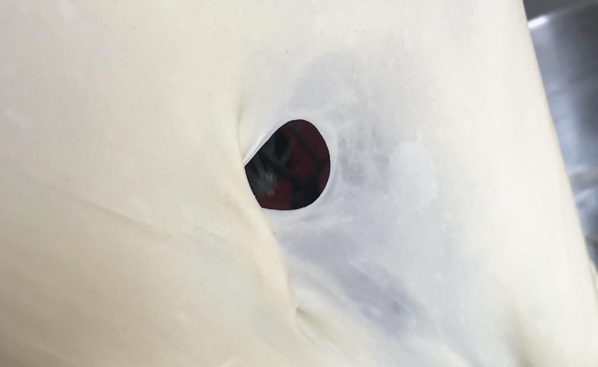 千元厨师机带压面机,千元内厨师机