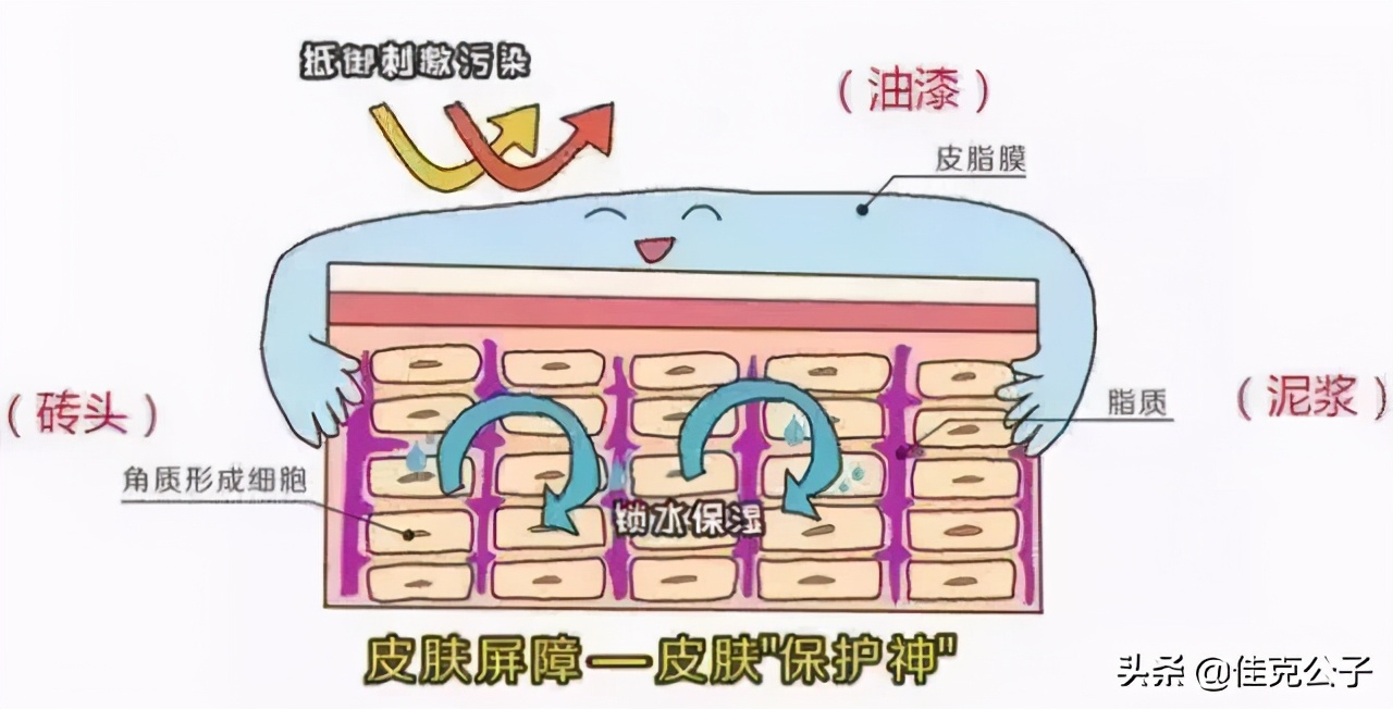 烂脸第几天最严重,烂脸修复第一步