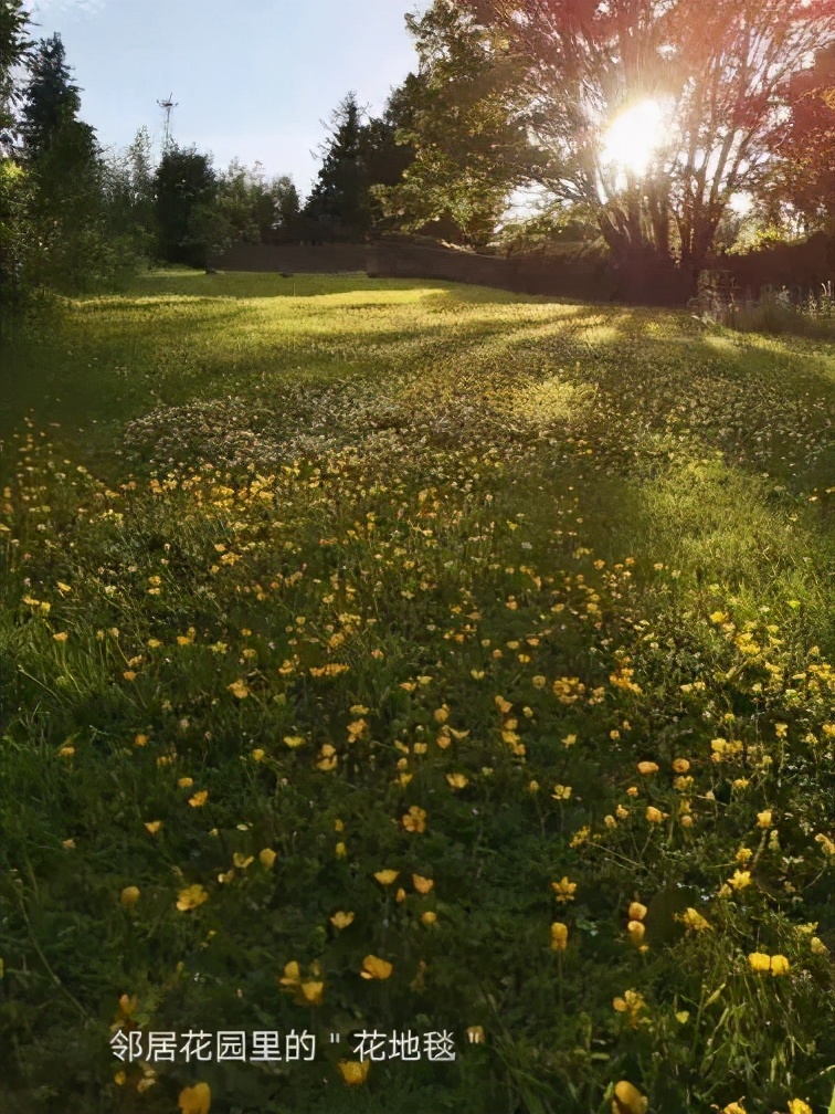 从英国回国为什么要转机,从英国回国需做哪些准备