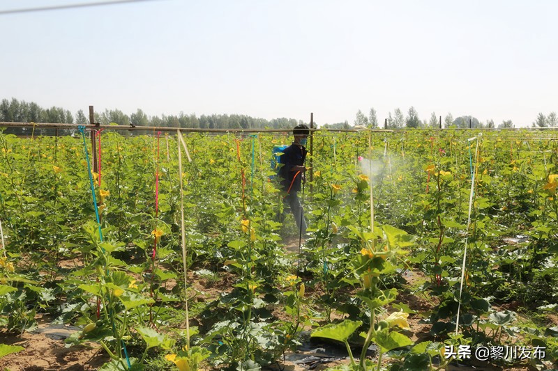 内蒙古达拉特旗县恩格贝镇,达拉特旗恩格贝镇