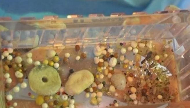 得道高僧火化为啥有舍利子,得道高僧为什么火化后会有舍利子