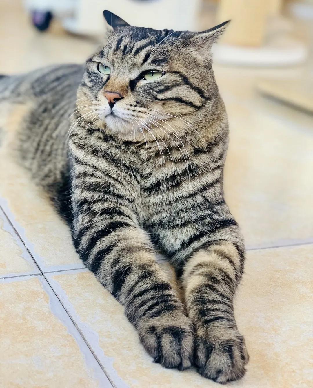 大家期盼的真实事件,掉缸事件怎么处理