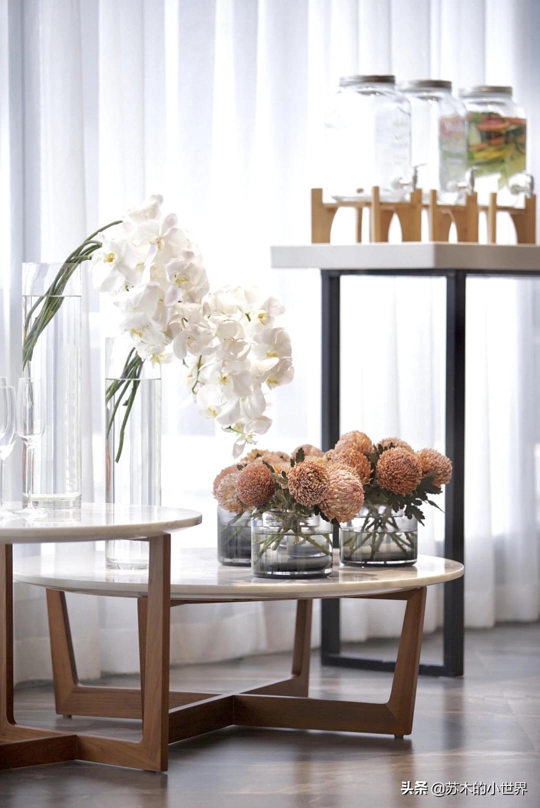 我想把“月亮、星辰、山川和竹林都穿在身上”