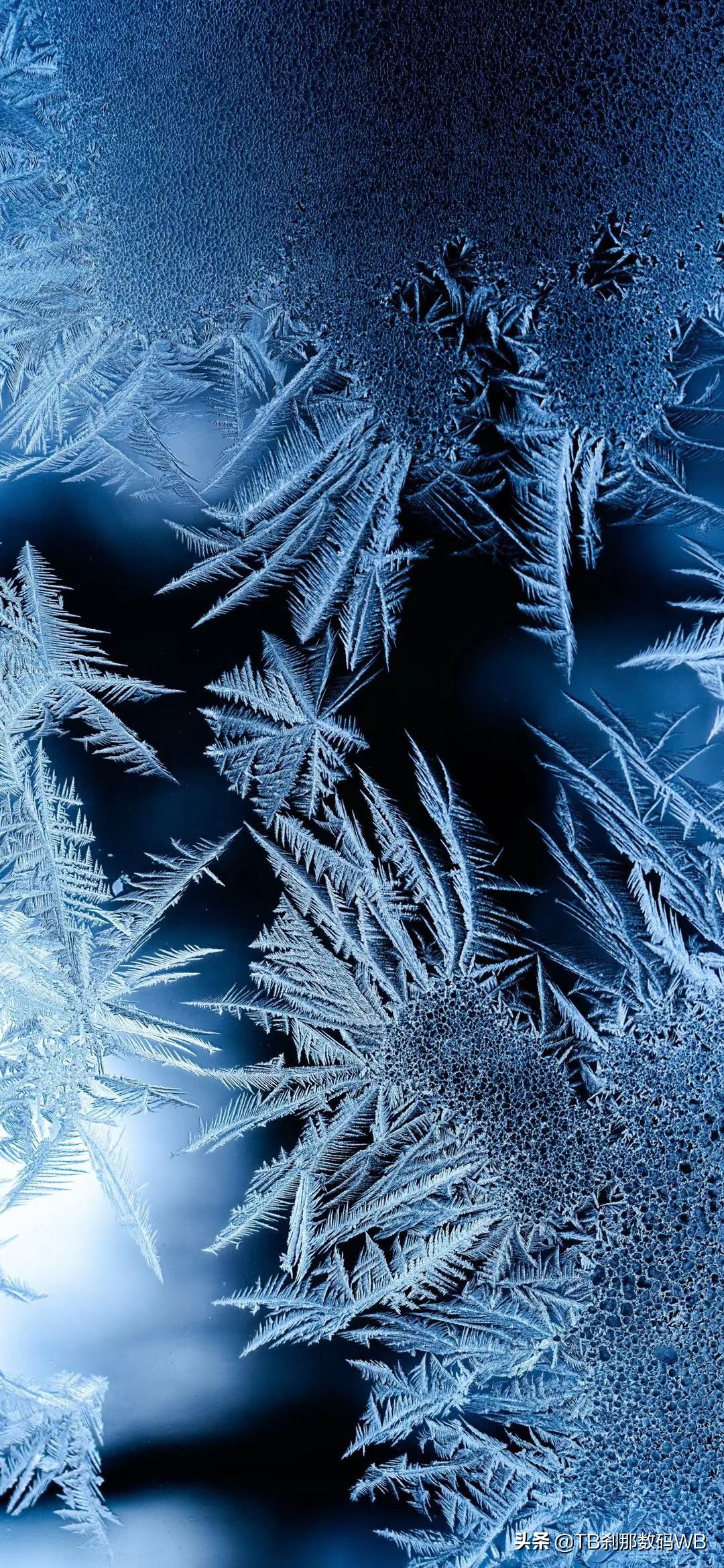 女神比比东精美壁纸,江南水乡精美壁纸图