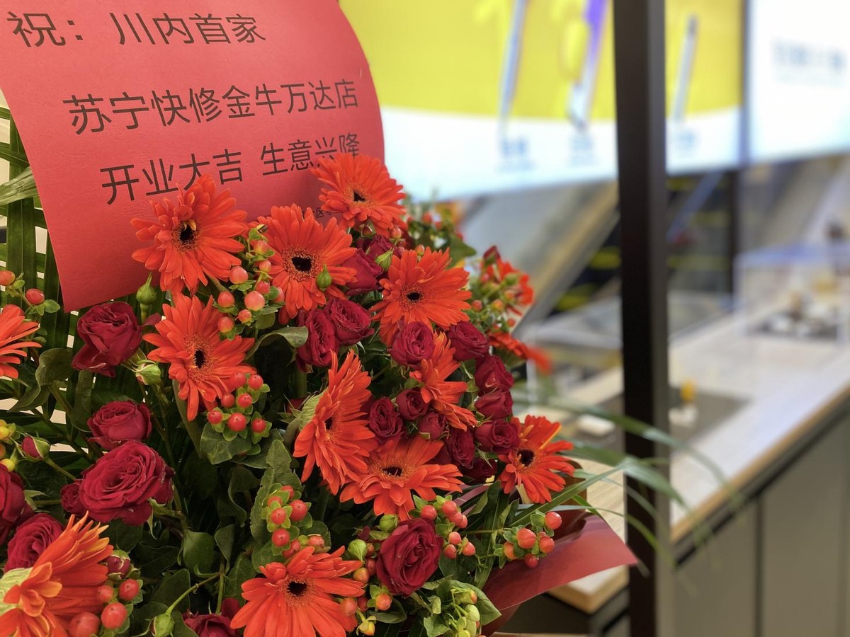 苏宁快修南京门店,苏宁快修万达